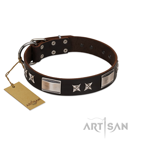 Stylish design dog collar of full grain natural leather
