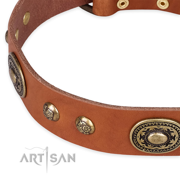Embellished full grain natural leather collar for your stylish four-legged friend