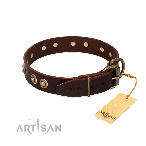 Strong embellishments on genuine leather dog collar for your dog