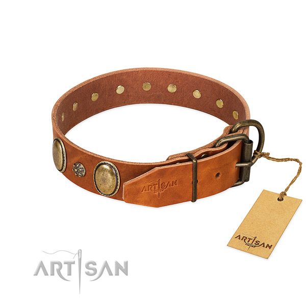 Everyday use quality leather dog collar