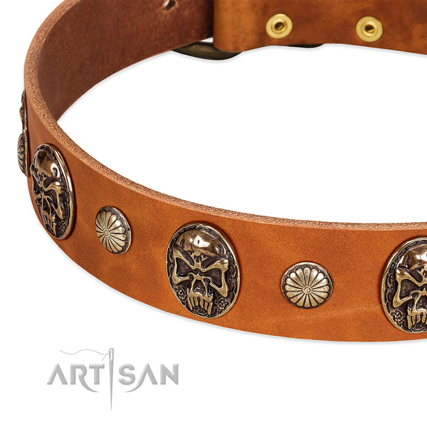Strong studs on leather dog collar for your four-legged friend