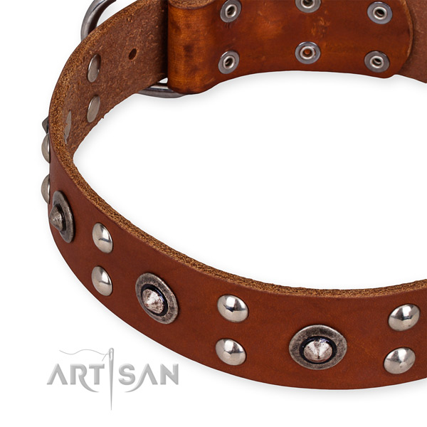 Genuine leather collar with rust resistant traditional buckle for your stylish four-legged friend