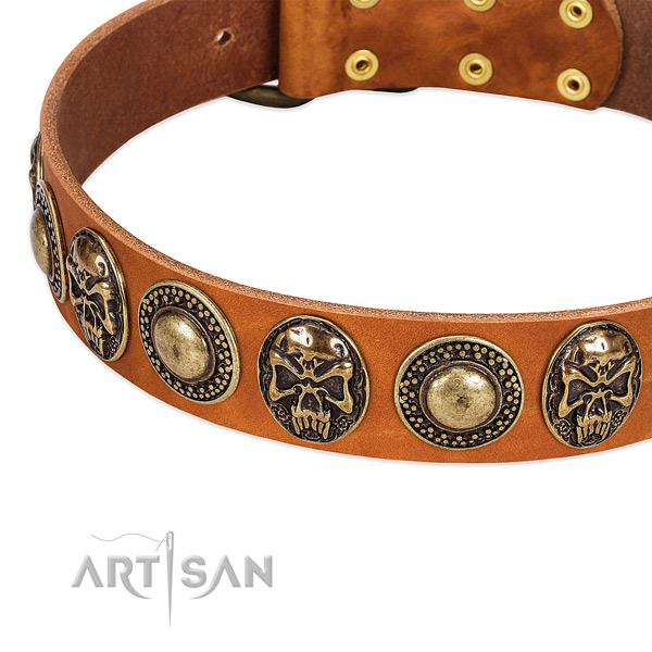 Rust resistant traditional buckle on full grain genuine leather dog collar for your dog