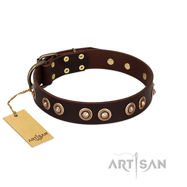 Corrosion proof hardware on full grain leather dog collar for your four-legged friend