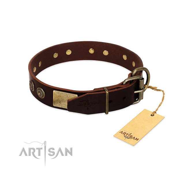 Corrosion resistant embellishments on full grain genuine leather dog collar for your dog