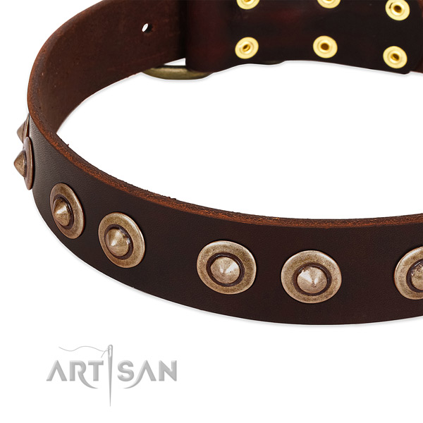 Corrosion proof studs on full grain genuine leather dog collar for your dog