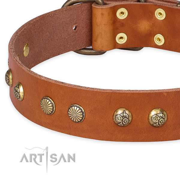 Leather collar with strong hardware for your lovely doggie