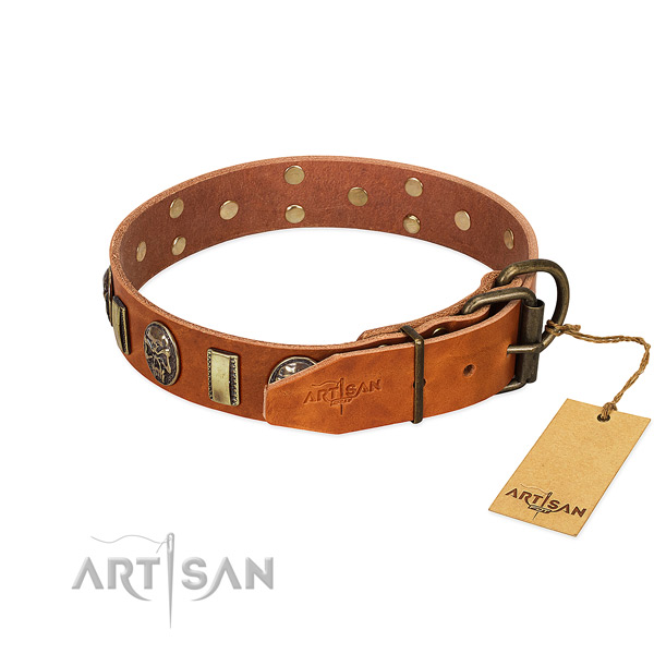 Full grain genuine leather dog collar with corrosion proof hardware and adornments