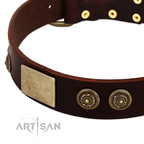 Rust resistant fittings on genuine leather dog collar for your doggie