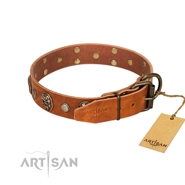 Rust resistant D-ring on full grain natural leather collar for fancy walking your four-legged friend