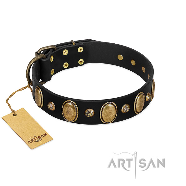 Genuine leather dog collar of top notch material with fashionable embellishments