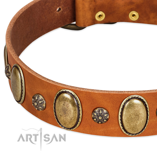 Stylish walking high quality genuine leather dog collar