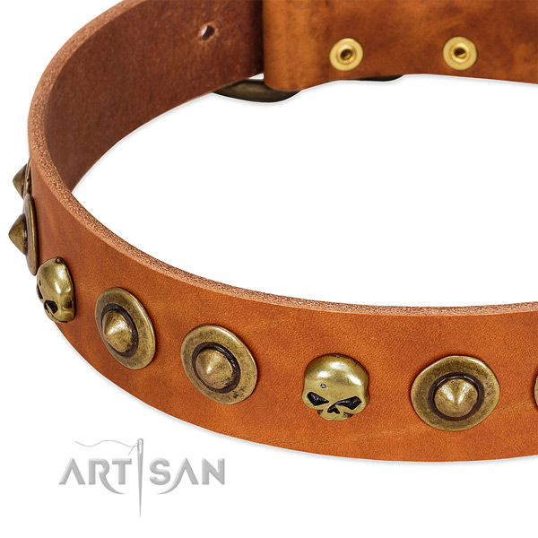 Amazing studs on full grain leather collar for your doggie