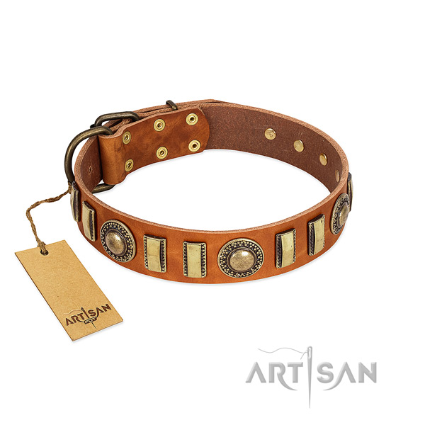 Top rate genuine leather dog collar with durable fittings