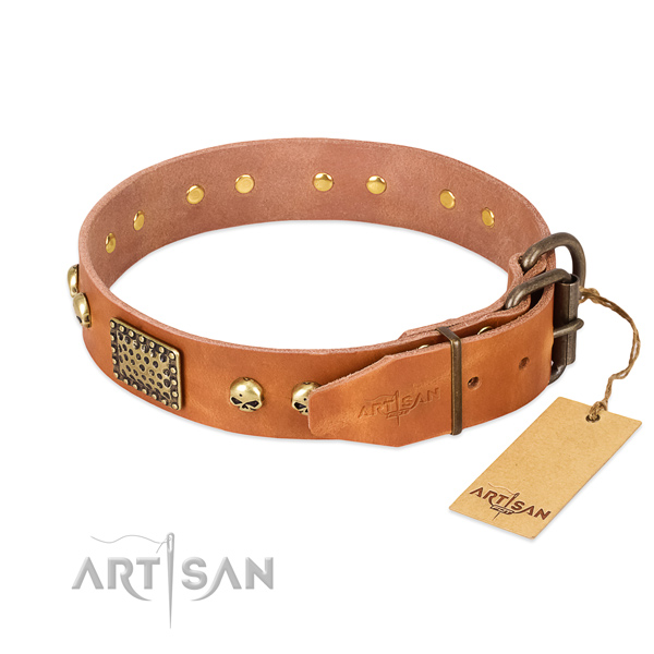 Durable hardware on basic training dog collar
