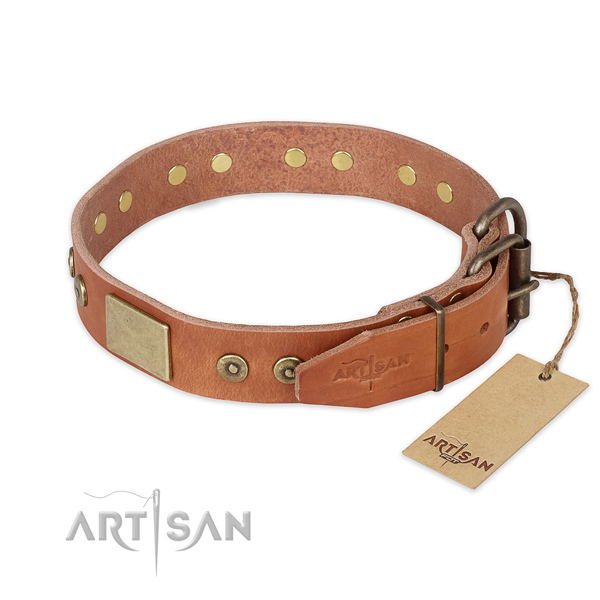 Reliable hardware on natural genuine leather collar for everyday walking your four-legged friend