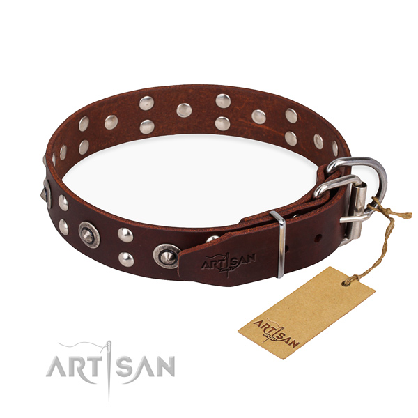 Strong traditional buckle on leather collar for your beautiful pet