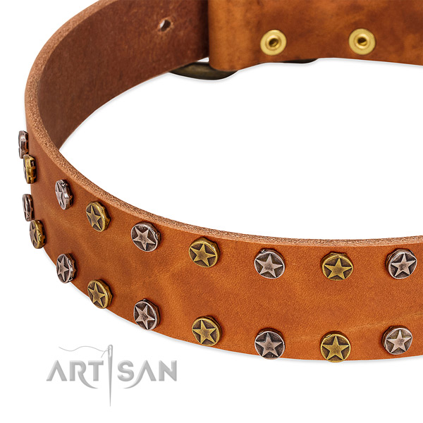 Daily use full grain genuine leather dog collar with significant decorations