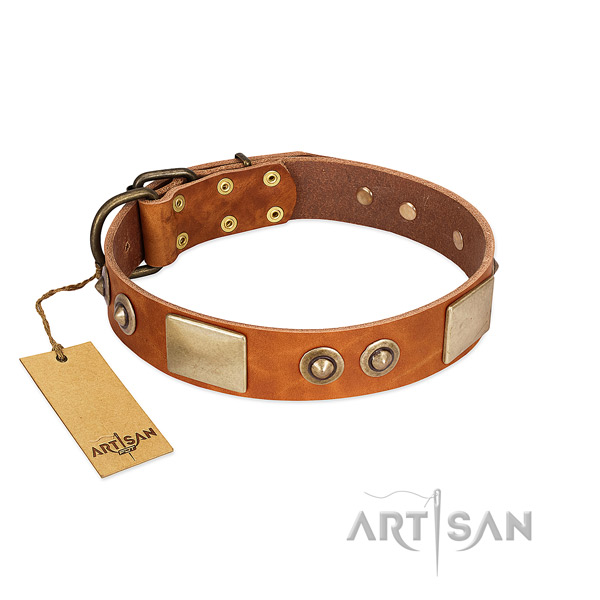 Adjustable full grain genuine leather dog collar for stylish walking your four-legged friend