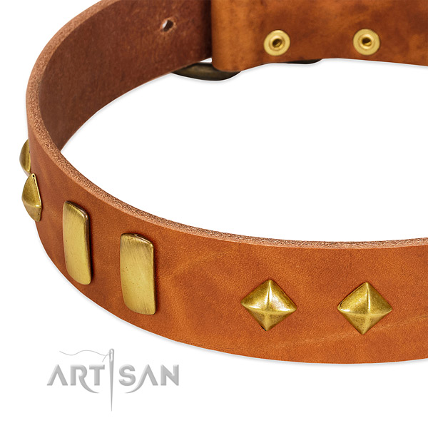 Stylish walking full grain genuine leather dog collar with unique studs