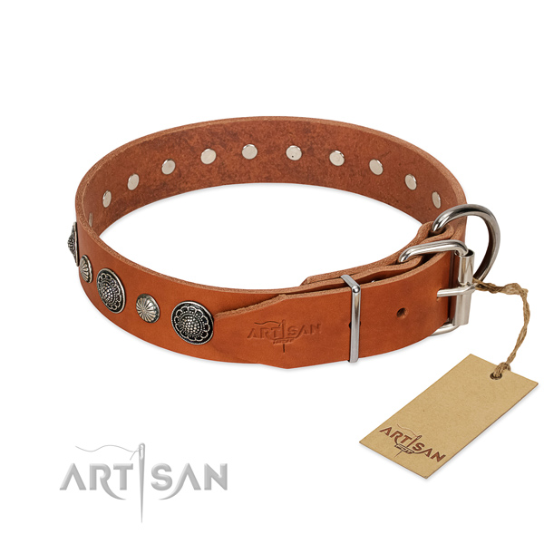 Strong Full grain natural leather dog collar with rust resistant fittings