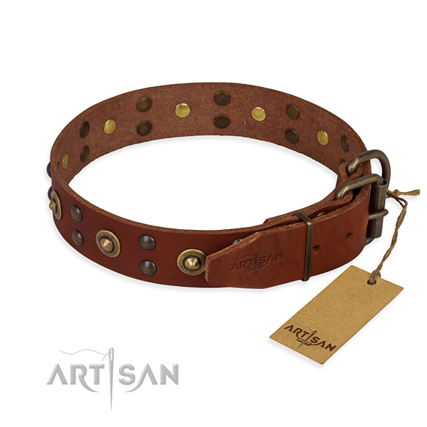 Corrosion proof hardware on leather collar for your attractive four-legged friend