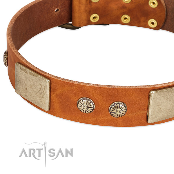 Corrosion proof embellishments on natural genuine leather dog collar for your doggie