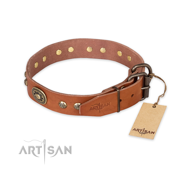 Strong buckle on leather collar for everyday walking your canine
