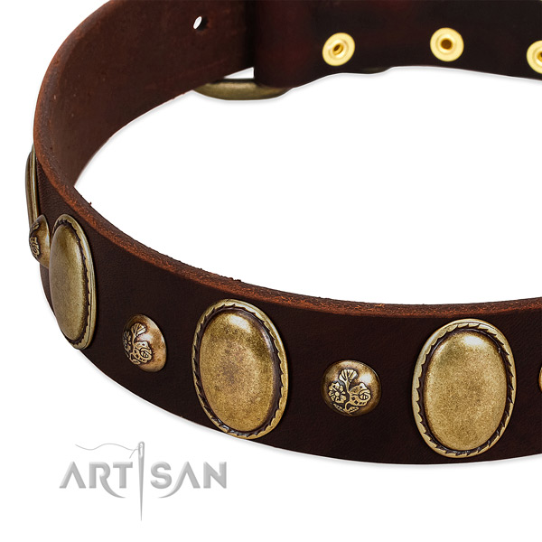 Full grain natural leather dog collar with exquisite adornments