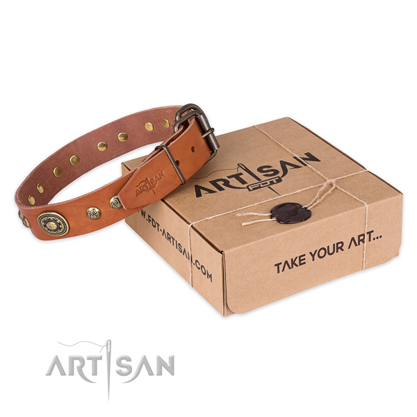 Strong traditional buckle on natural leather dog collar for walking