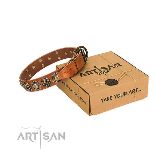 Durable adornments on dog collar for stylish walking