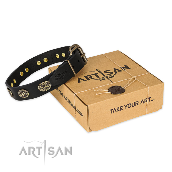 Strong buckle on full grain natural leather collar for your impressive canine