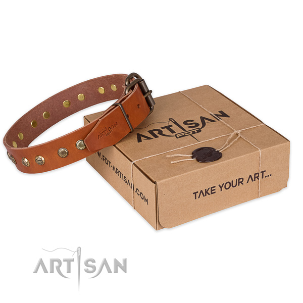 Corrosion proof fittings on genuine leather collar for your lovely pet