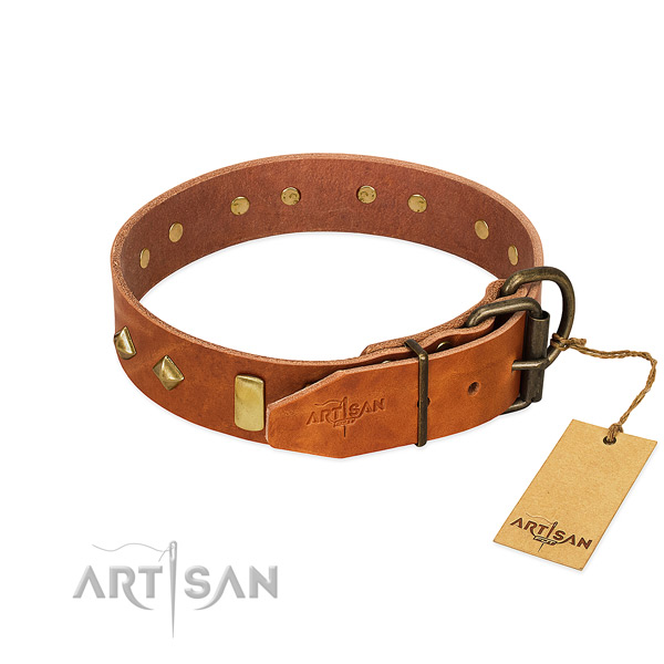 Daily use full grain genuine leather dog collar with top notch decorations