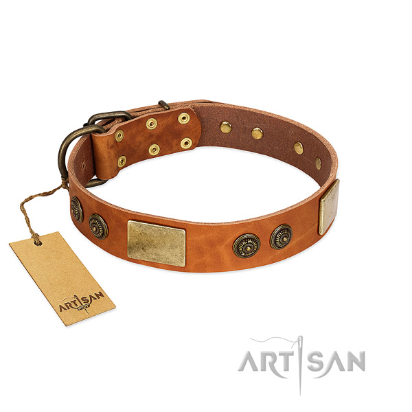 Significant genuine leather dog collar for daily walking