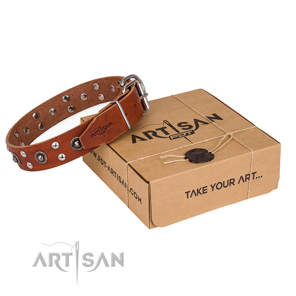Reliable traditional buckle on full grain natural leather collar for your lovely pet