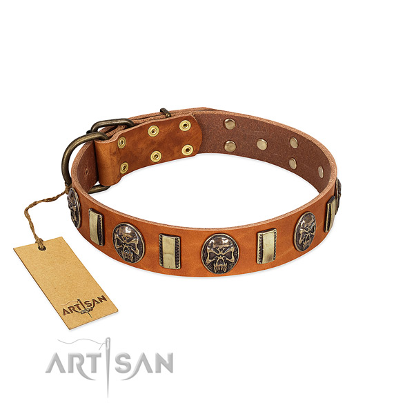 Significant genuine leather dog collar for handy use