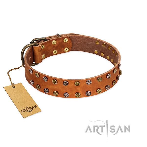 Fancy walking best quality full grain genuine leather dog collar with embellishments