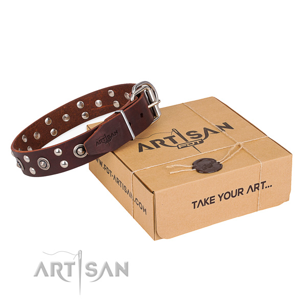 Durable traditional buckle on leather collar for your impressive doggie