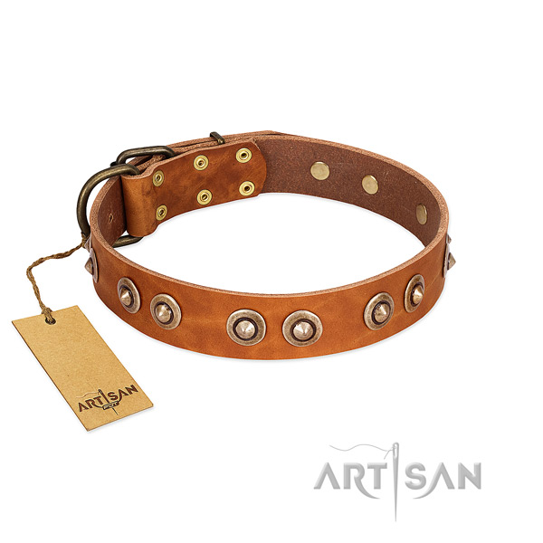 Rust-proof hardware on full grain genuine leather dog collar for your canine