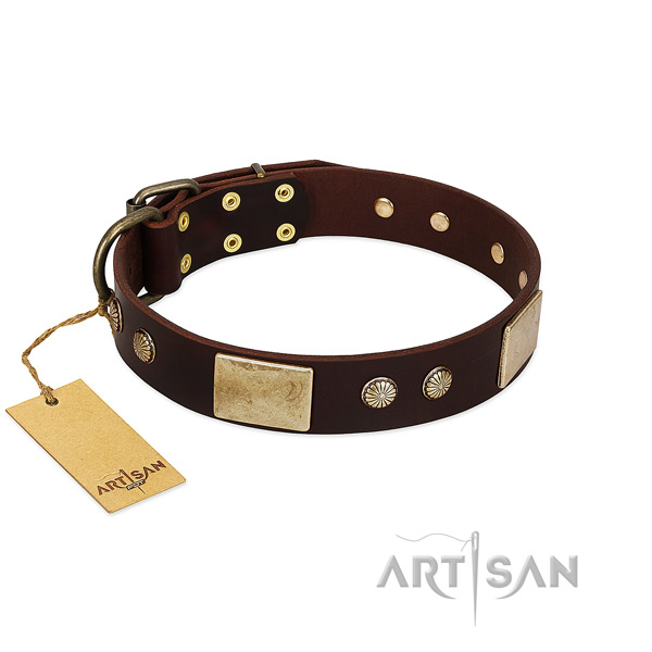 Easy wearing full grain genuine leather dog collar for daily walking your canine