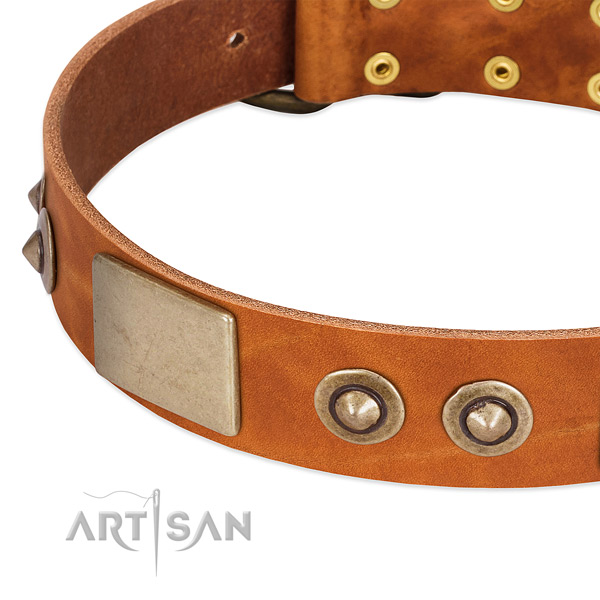 Rust-proof fittings on leather dog collar for your dog
