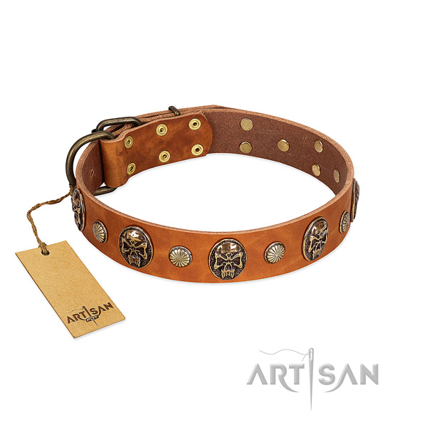 Trendy full grain genuine leather dog collar for everyday use