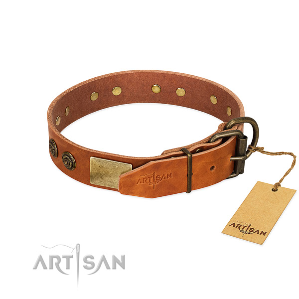 Corrosion resistant hardware on genuine leather collar for walking your pet