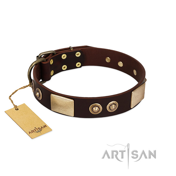 Easy wearing genuine leather dog collar for everyday walking your doggie