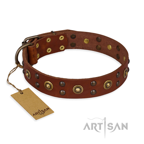 Top notch genuine leather dog collar with reliable traditional buckle