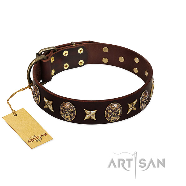 Remarkable genuine leather collar for your doggie