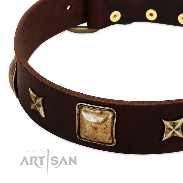Corrosion proof buckle on leather dog collar for your canine