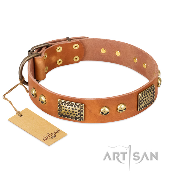 Easy adjustable full grain leather dog collar for basic training your pet