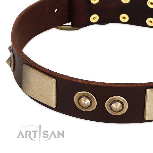 Durable adornments on genuine leather dog collar for your four-legged friend